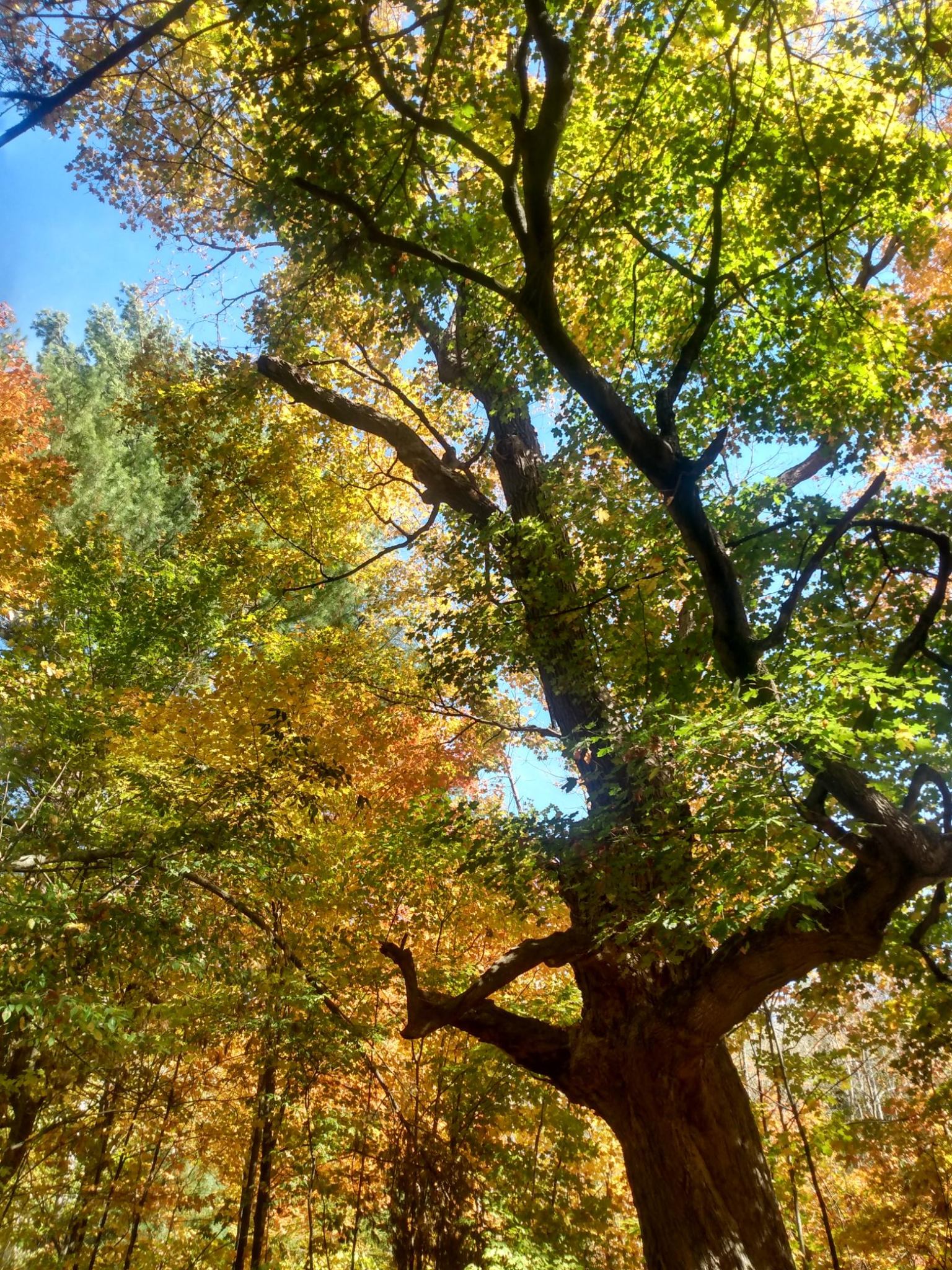 IMG 20251006 125555952 HDR