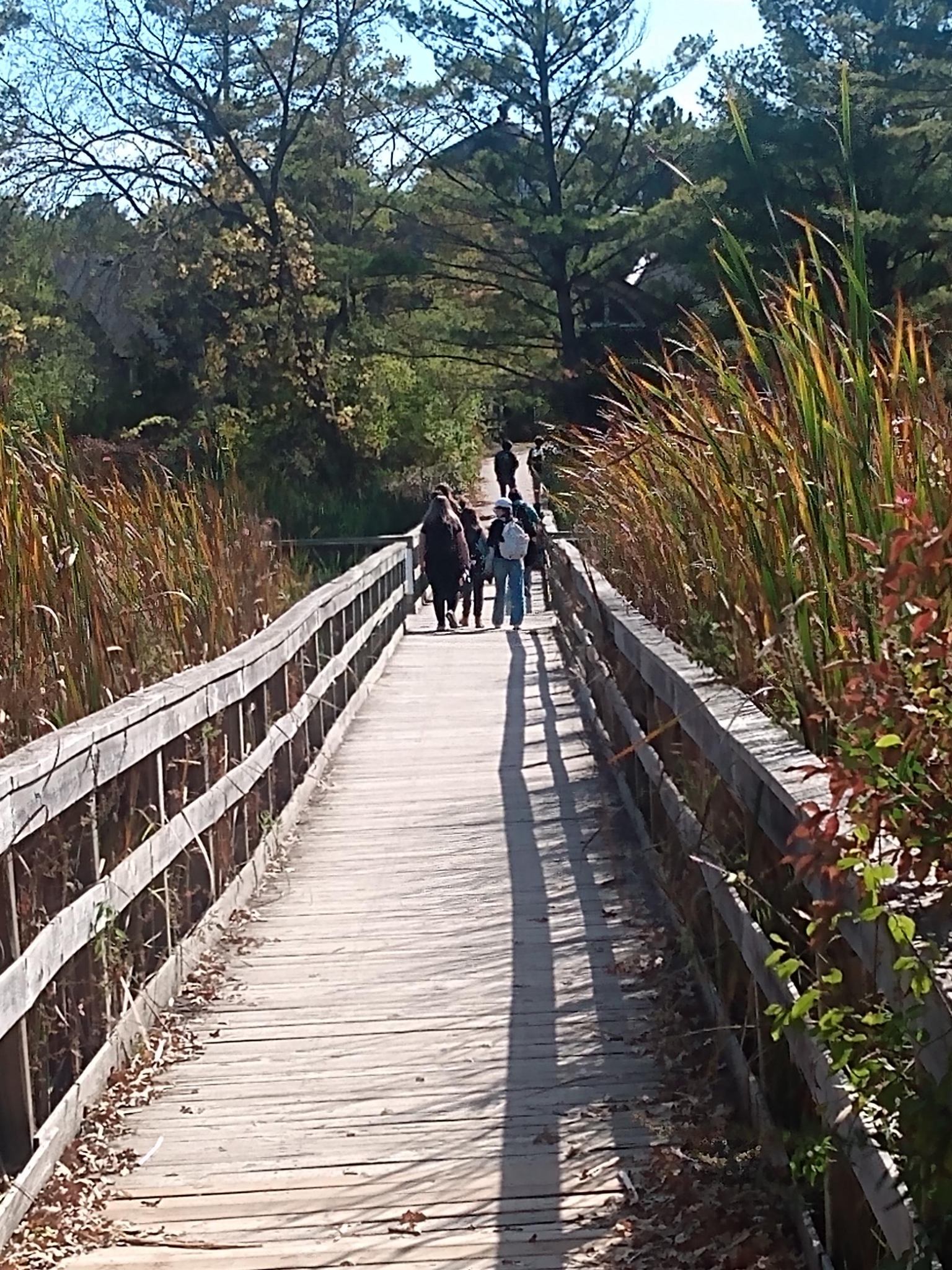 IMG 20251006 135724971